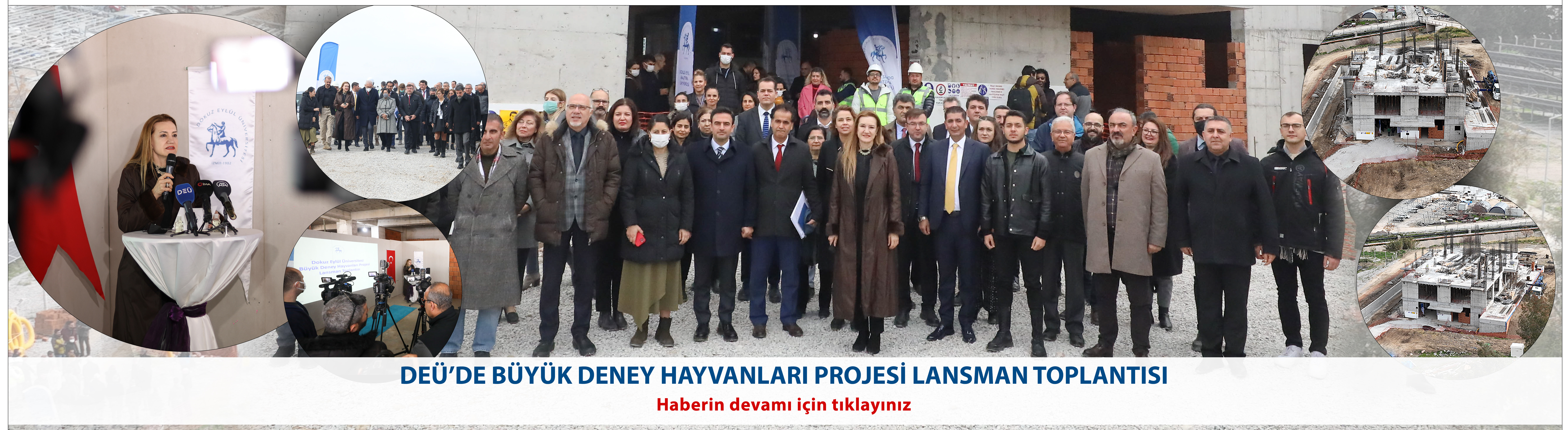 BÜYÜK DENEY HAYVANLARI